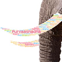 Names for Purva Ashadha (पूर्वाषाढ़ा) Nakshatra